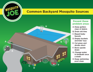 backyard mosquito sources
